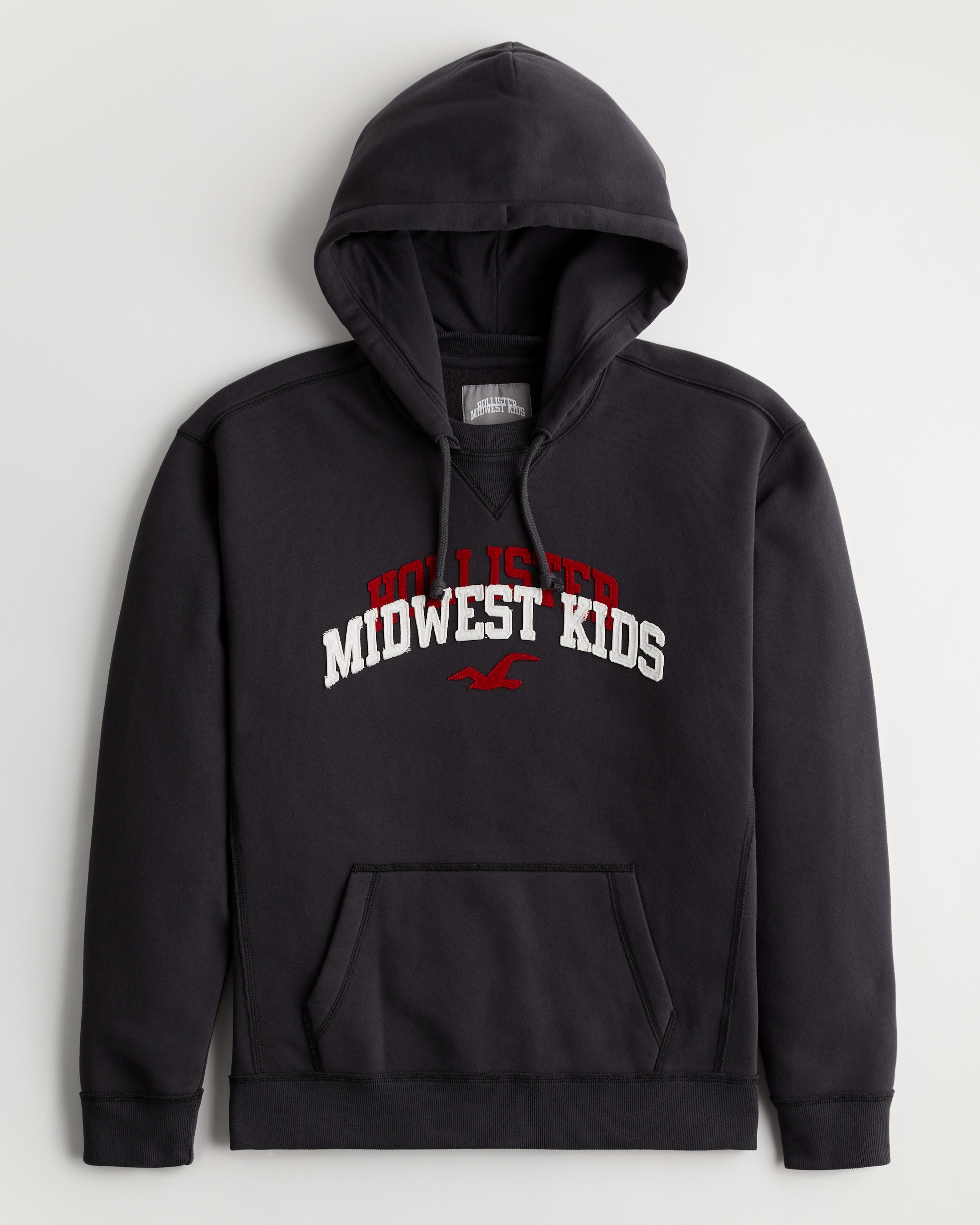 hollister mens hoodies