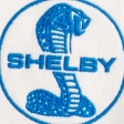 Boxy Shelby Graphic Half-Zip Sweatshirt