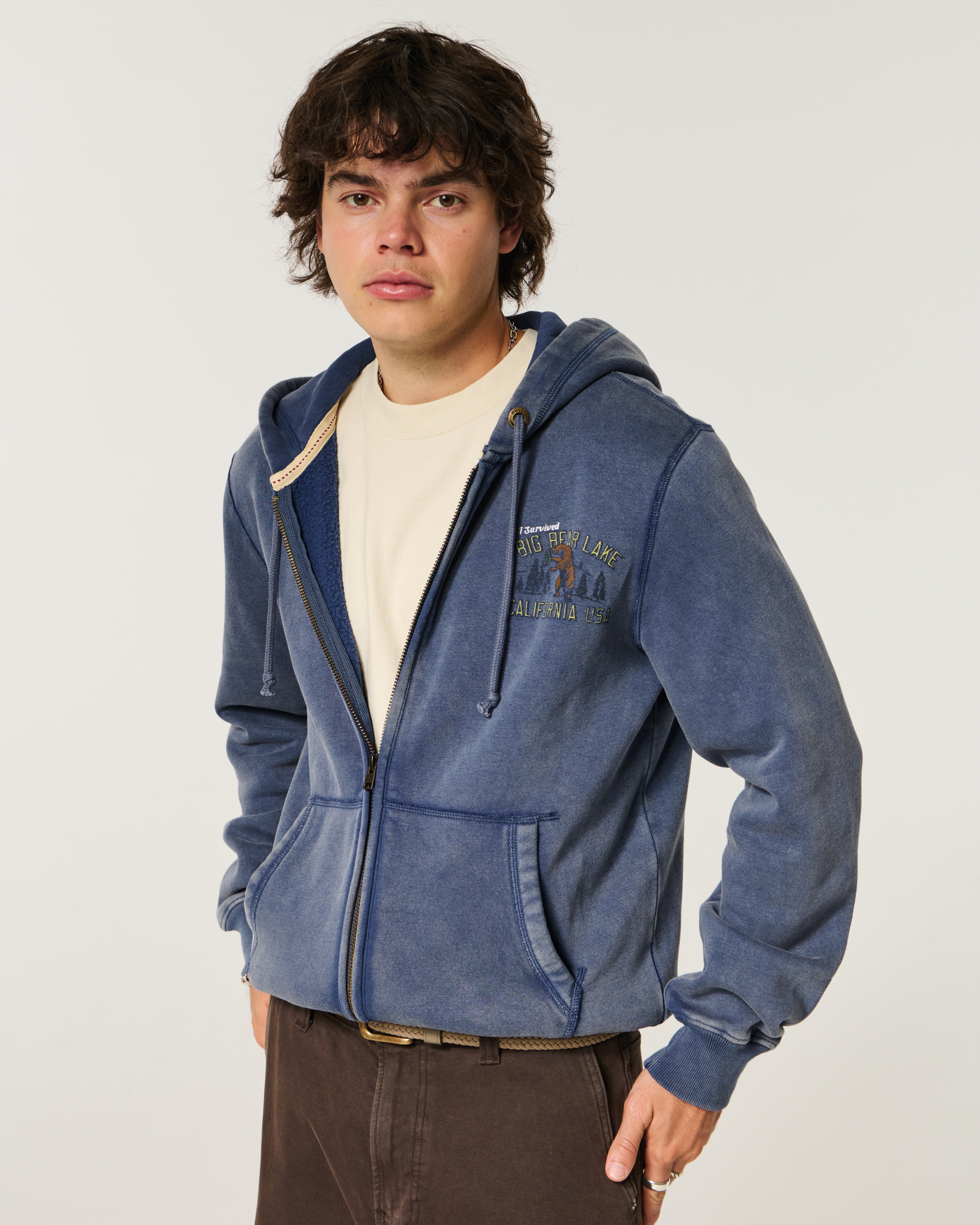 Мужские худи Hollister Holiday Vault Release Big Bear Lake Graphic Zip-Up — фото 2