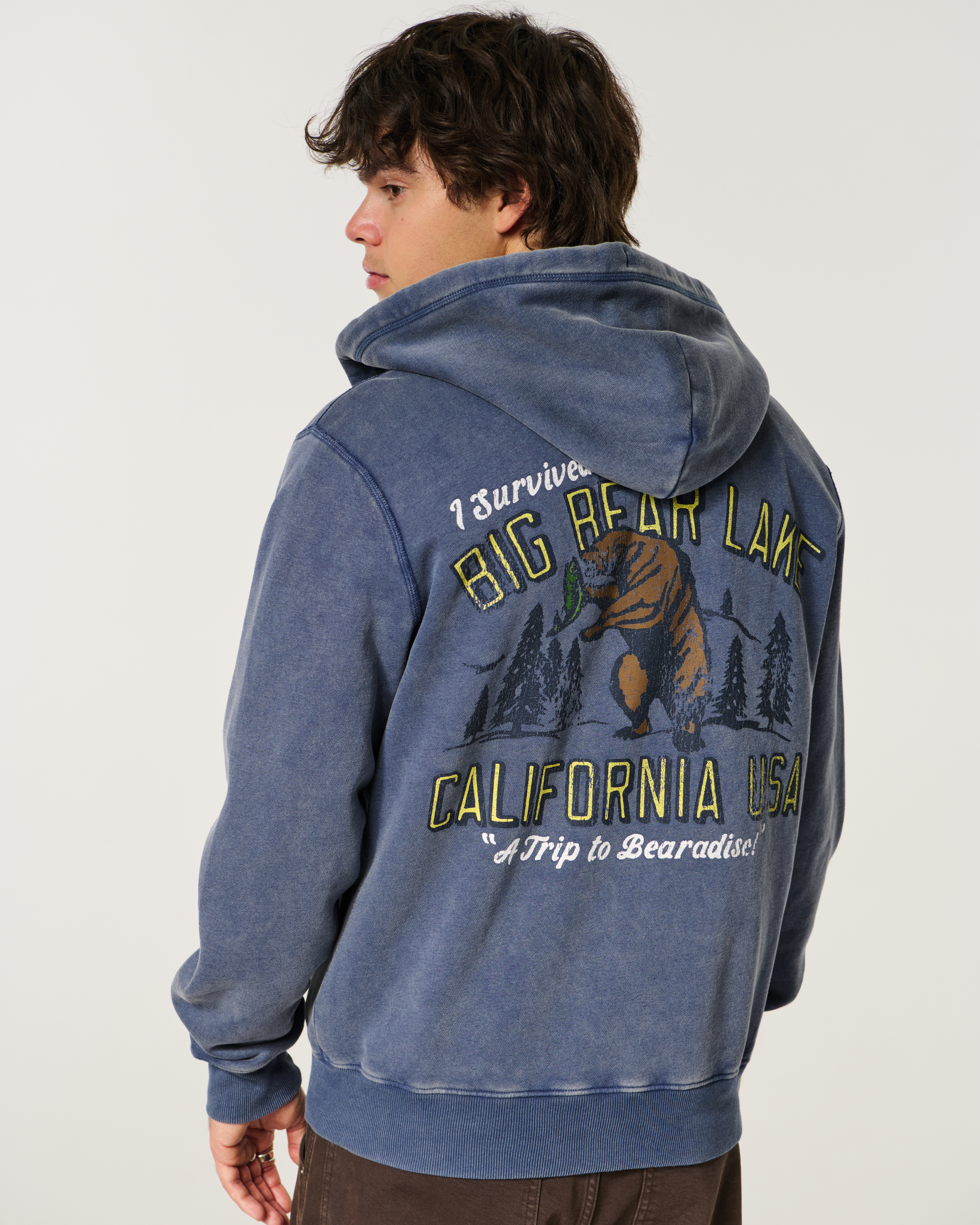Мужские худи Hollister Holiday Vault Release Big Bear Lake Graphic Zip-Up — фото 3