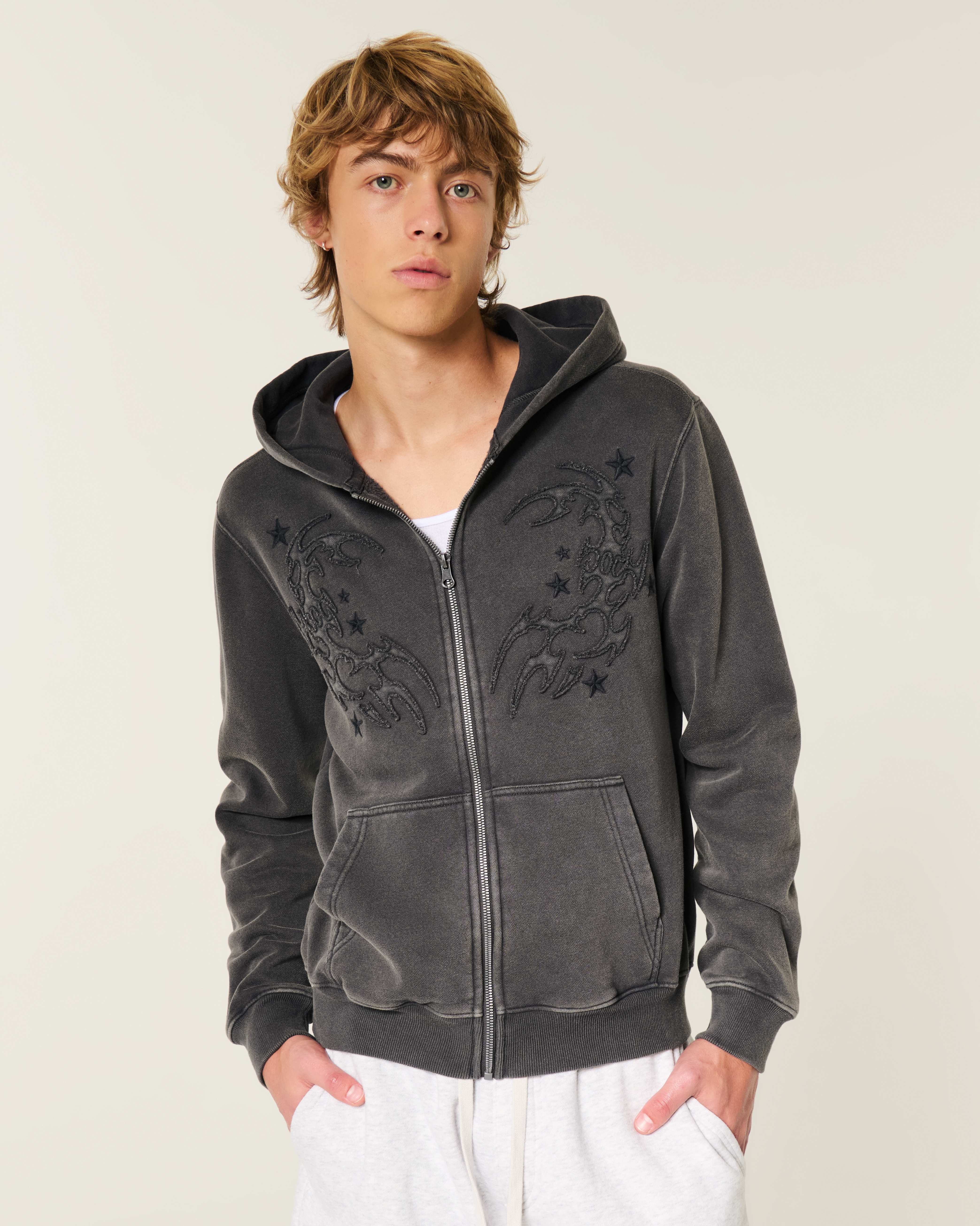 Мужские худи Hollister Embroidered Zip-Up — фото 2