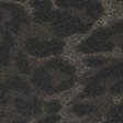 dark brown print - black