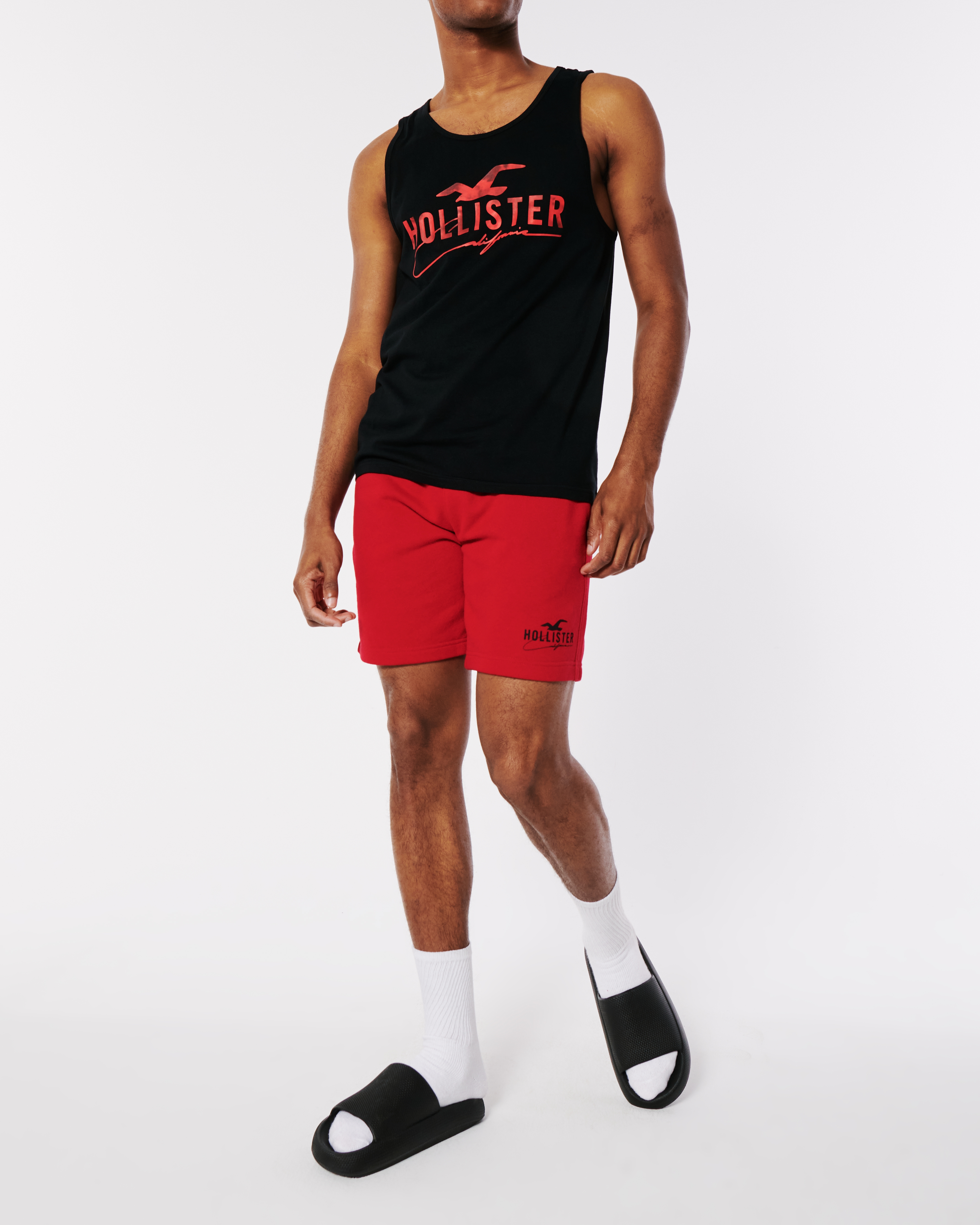 hollister men's