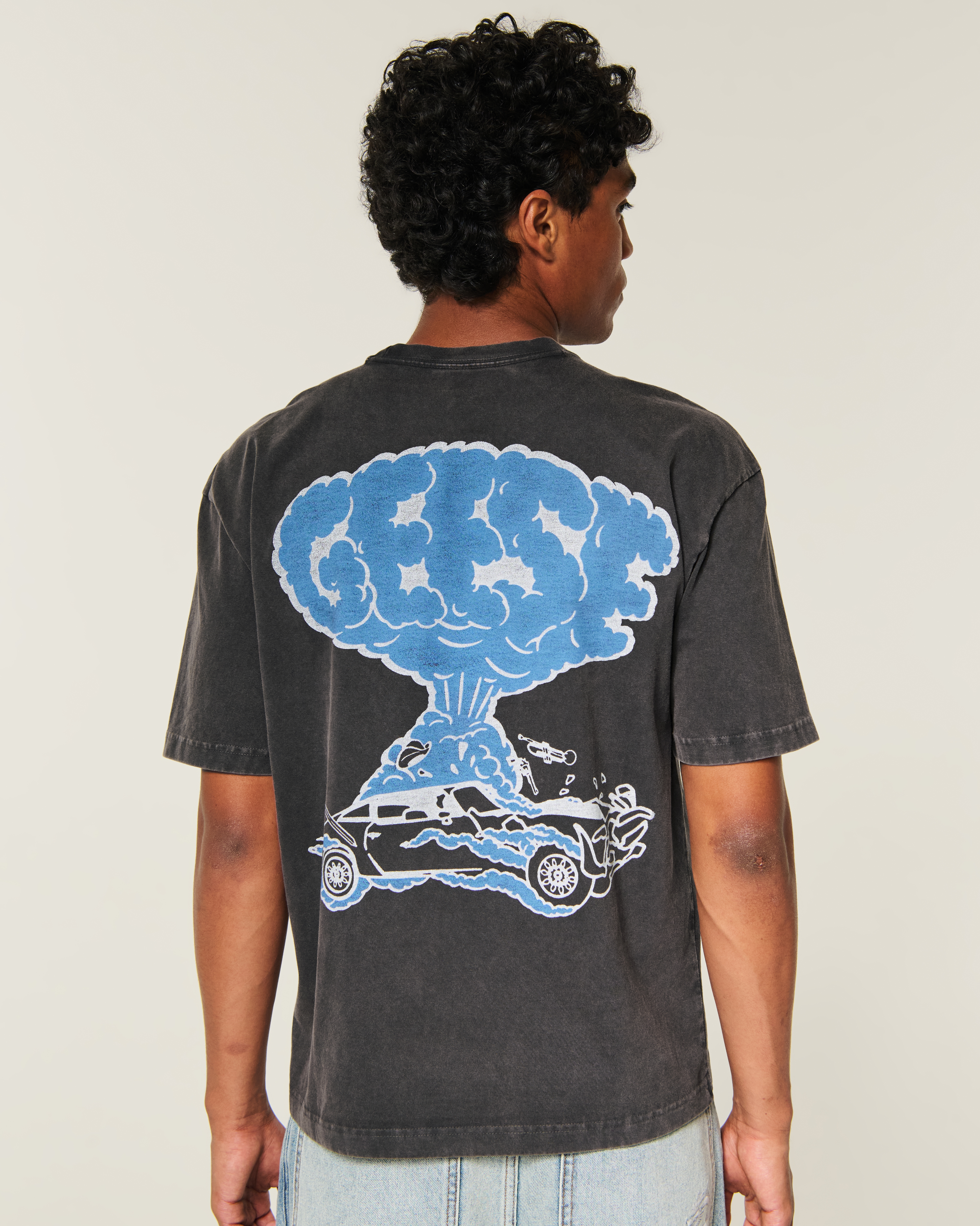 Мужские футболки Hollister Boxy Heavyweight Geese Graphic Tee — фото 2