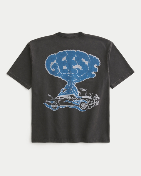 Мужские футболки Hollister Boxy Heavyweight Geese Graphic Tee