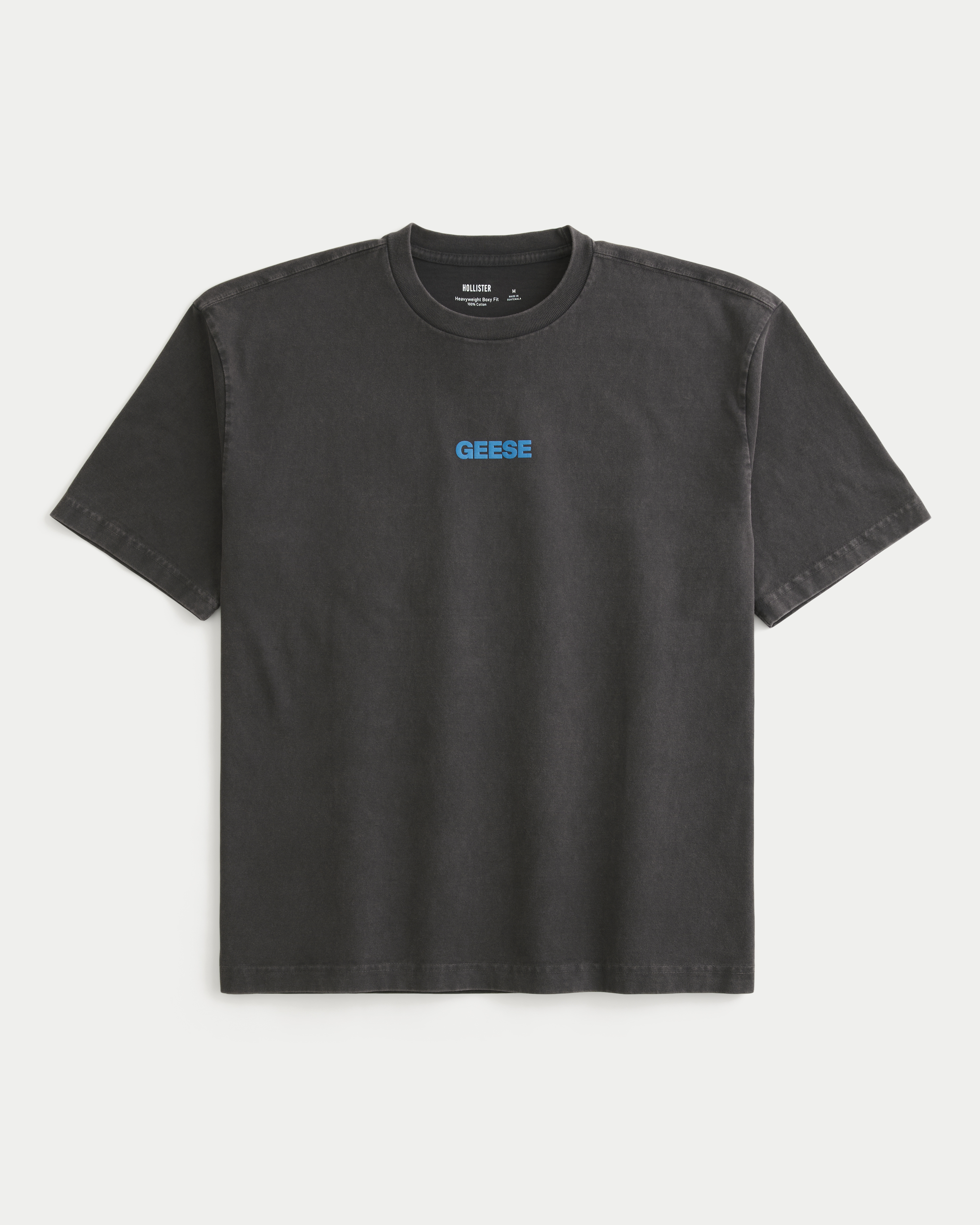 Мужские футболки Hollister Boxy Heavyweight Geese Graphic Tee — фото 3