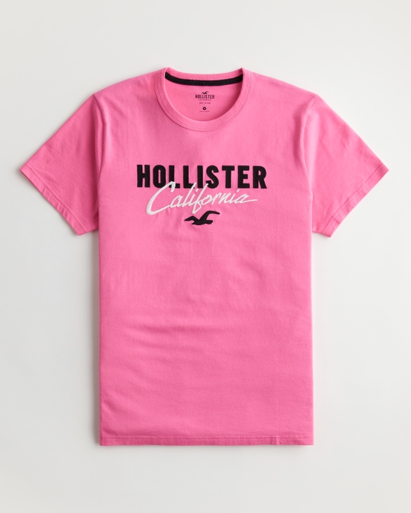 Camisetas con hombre - Camisetas estampadas hombre Hollister Co.