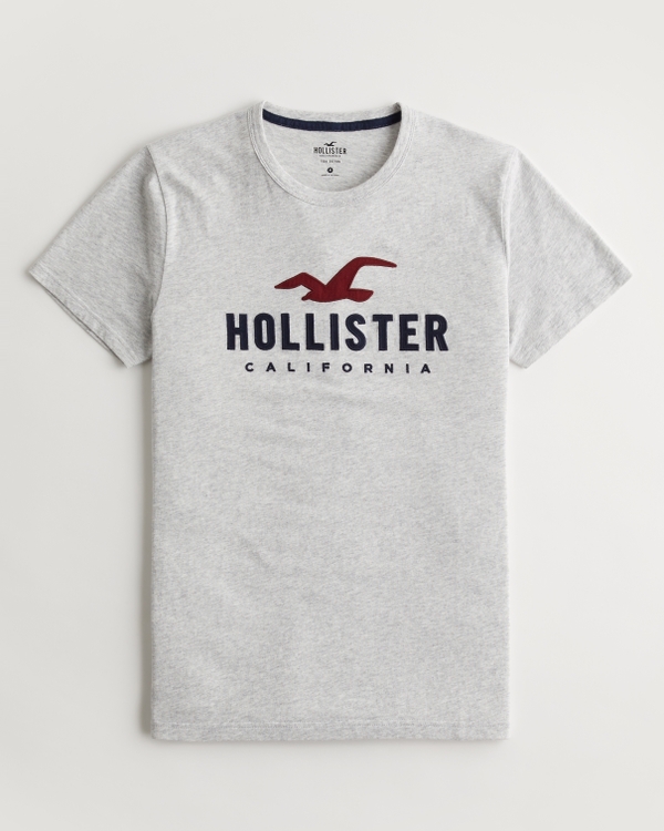 Camisetas con hombre - Camisetas estampadas hombre Hollister Co.