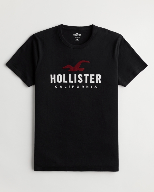 Camisetas con hombre - Camisetas estampadas hombre Hollister Co.