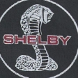 Boxy Heavyweight Shelby Graphic Tee