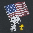 Boxy Snoopy USA Graphic Tee