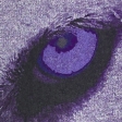 dark purple