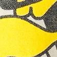 Boxy Iowa Hawkeyes Graphic Tee