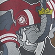 Boxy University of Alabama Crimson Tide Graphic Tee