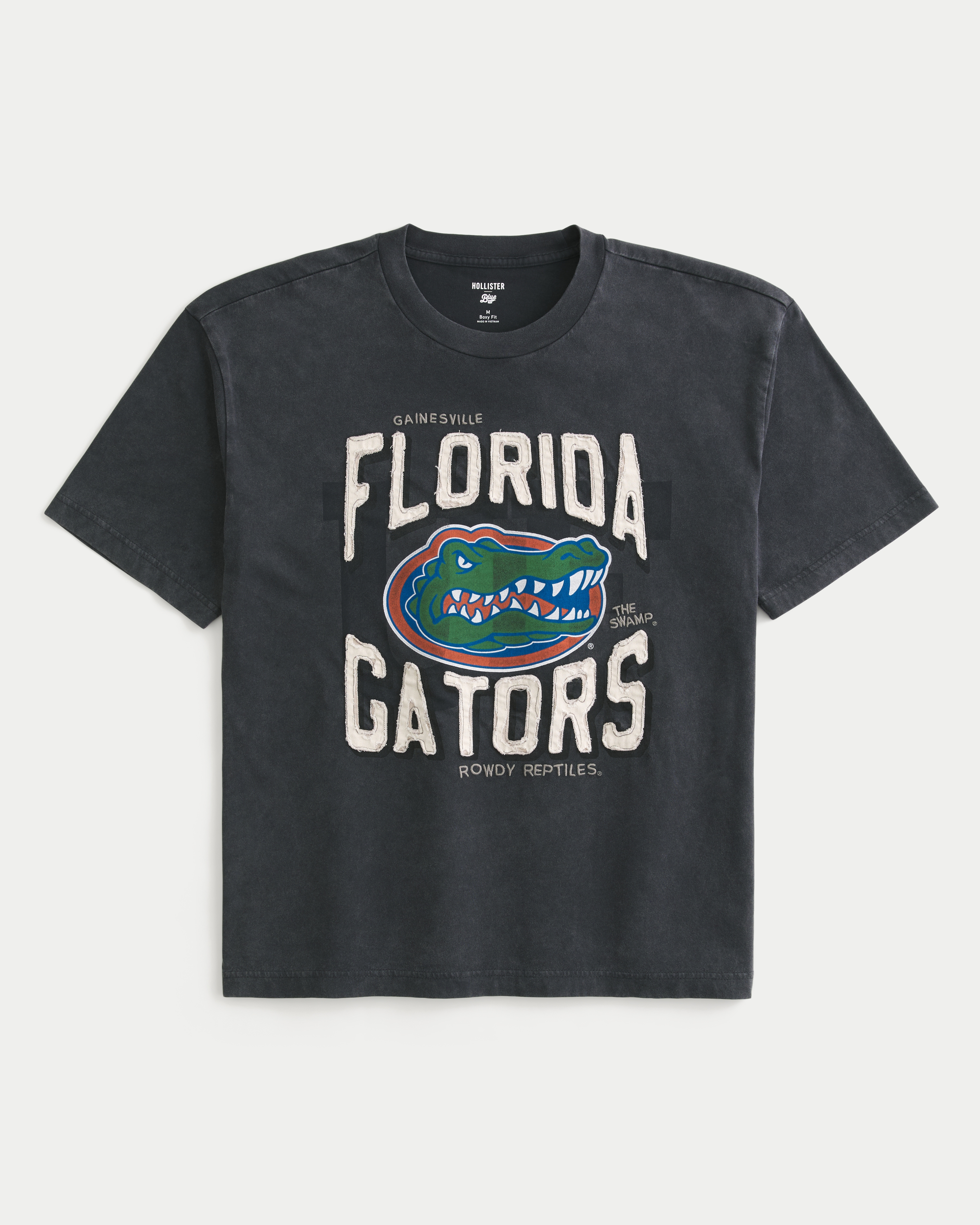Мужские футболки Hollister Boxy University of Florida Gators Graphic Tee