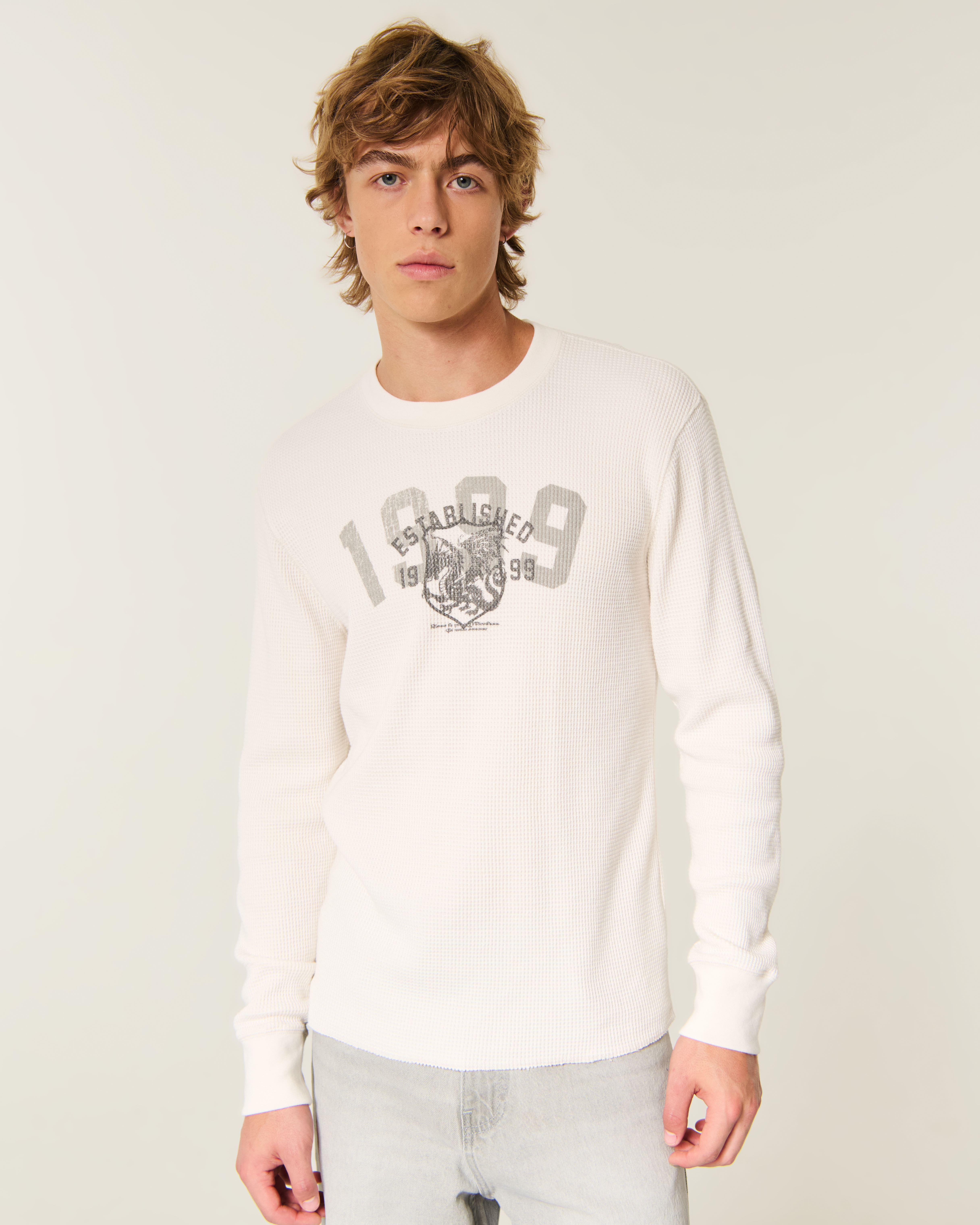 Мужская футболка Hollister Long-Sleeve Thermal Angel Wings Graphic, цвет: Кремовый — фото 2