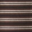 dark brown stripe