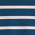 dark blue stripe