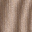 light brown stripe