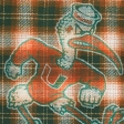 dark green plaid