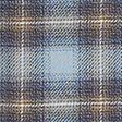 light blue plaid