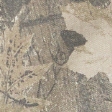 tan camo