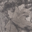 tan camo