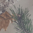 light brown camo