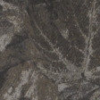 brown camo