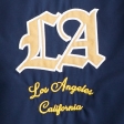 navy/gold