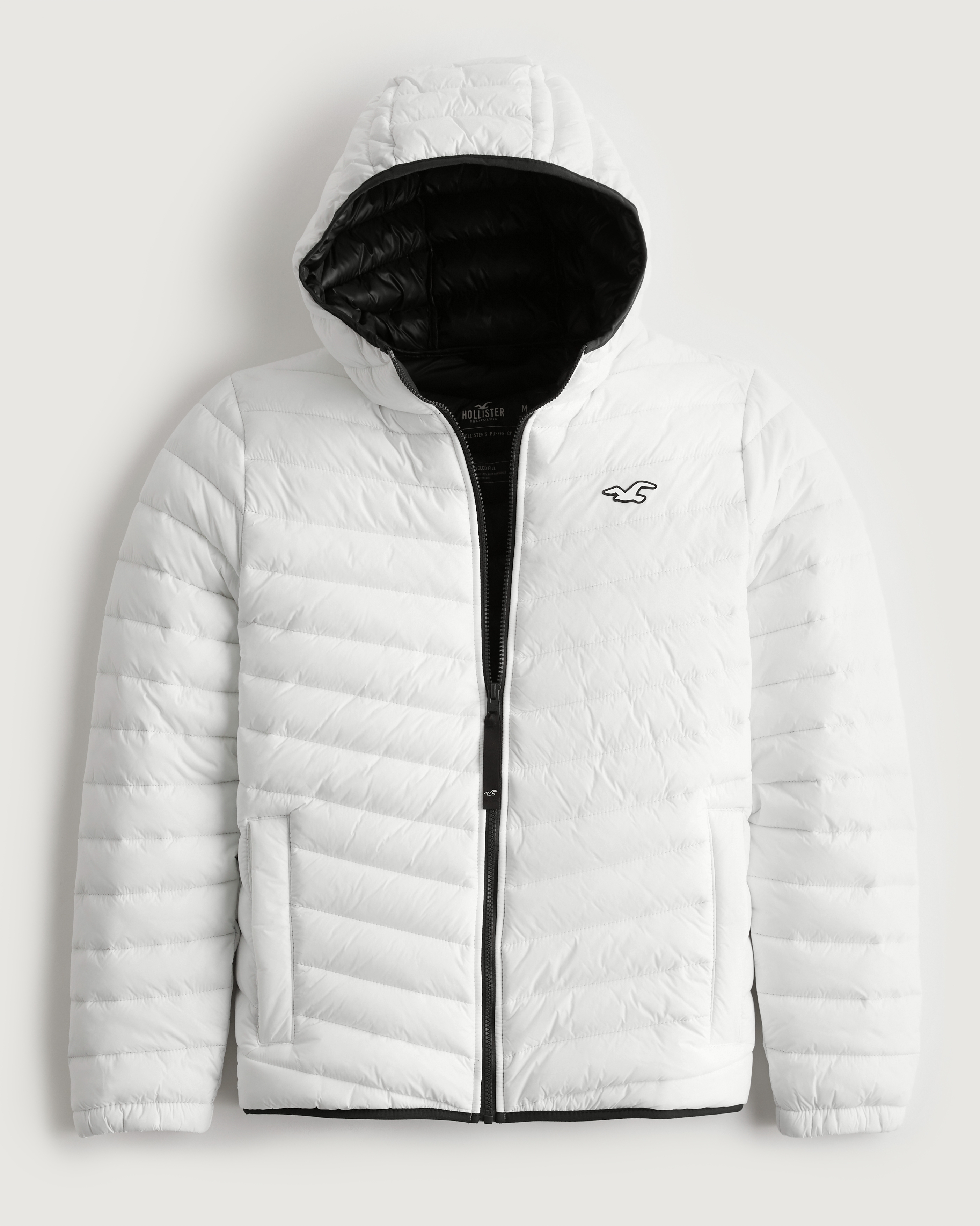 hollister mens coats