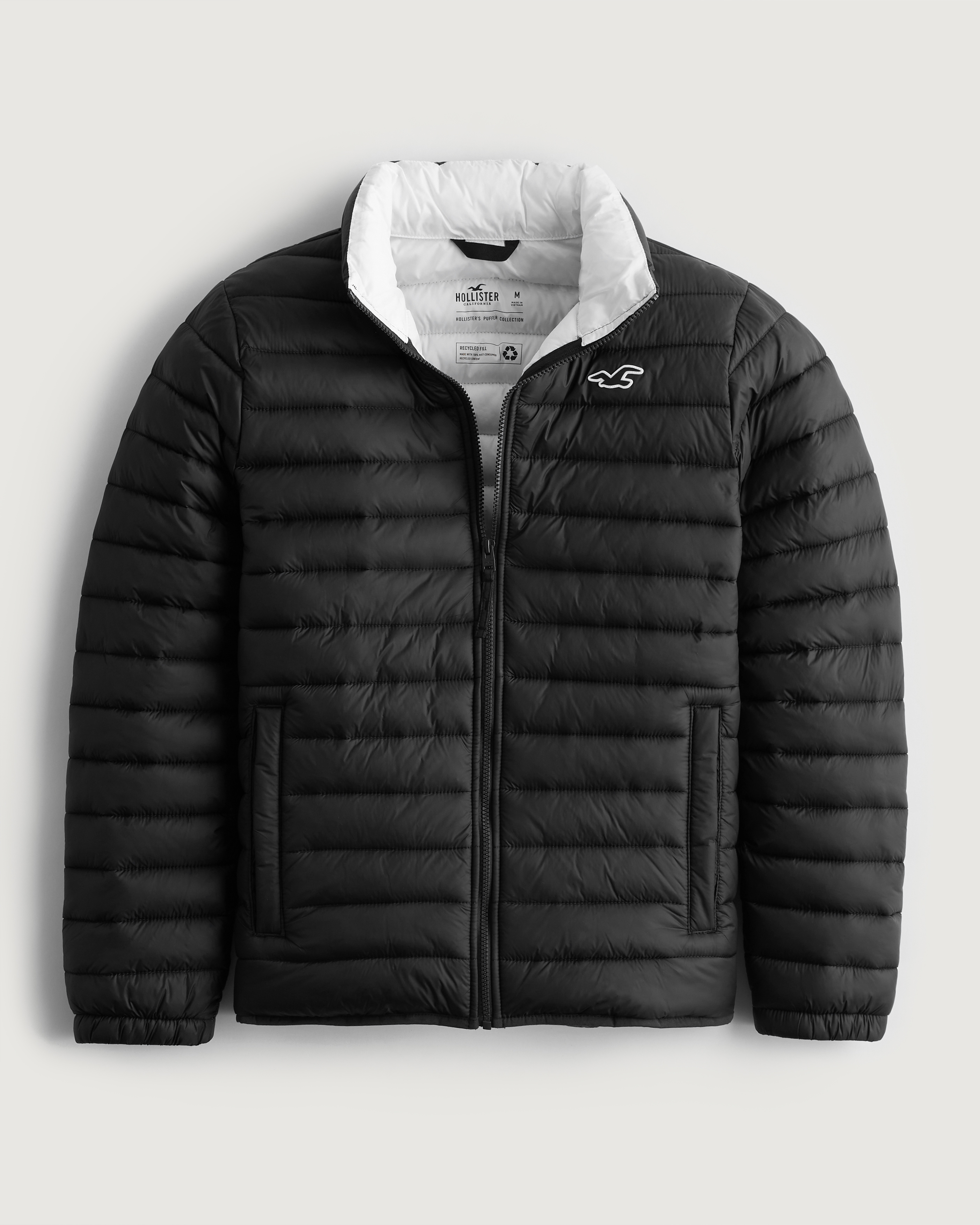 hollister jackets mens