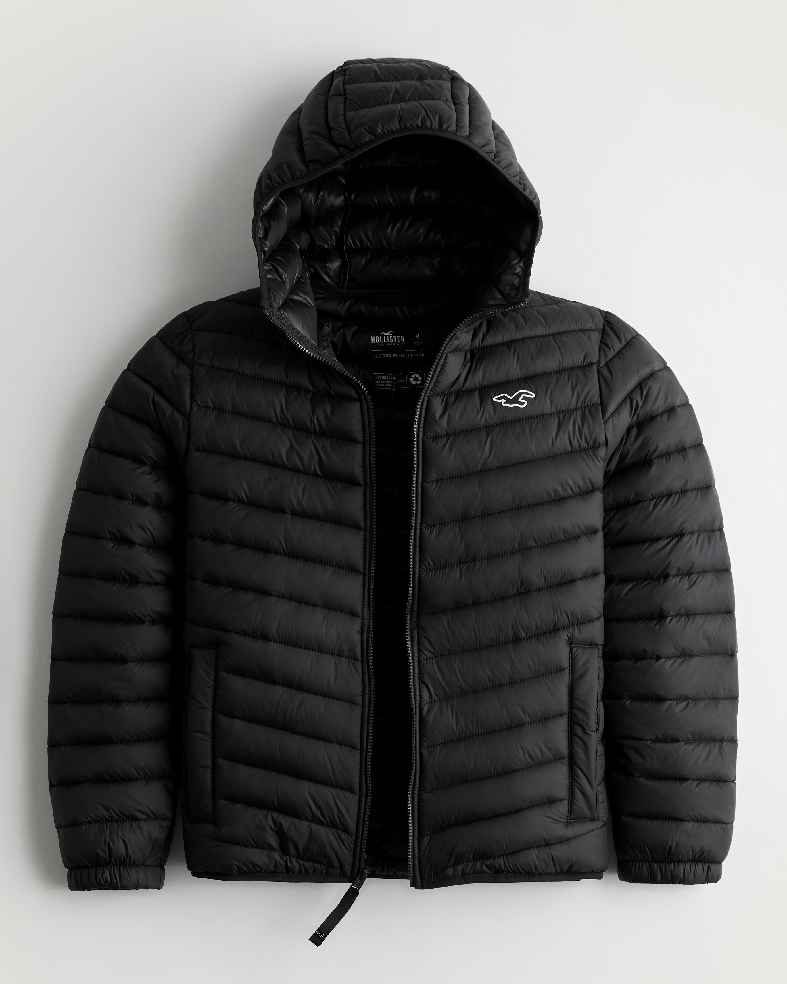 hollister men's coats