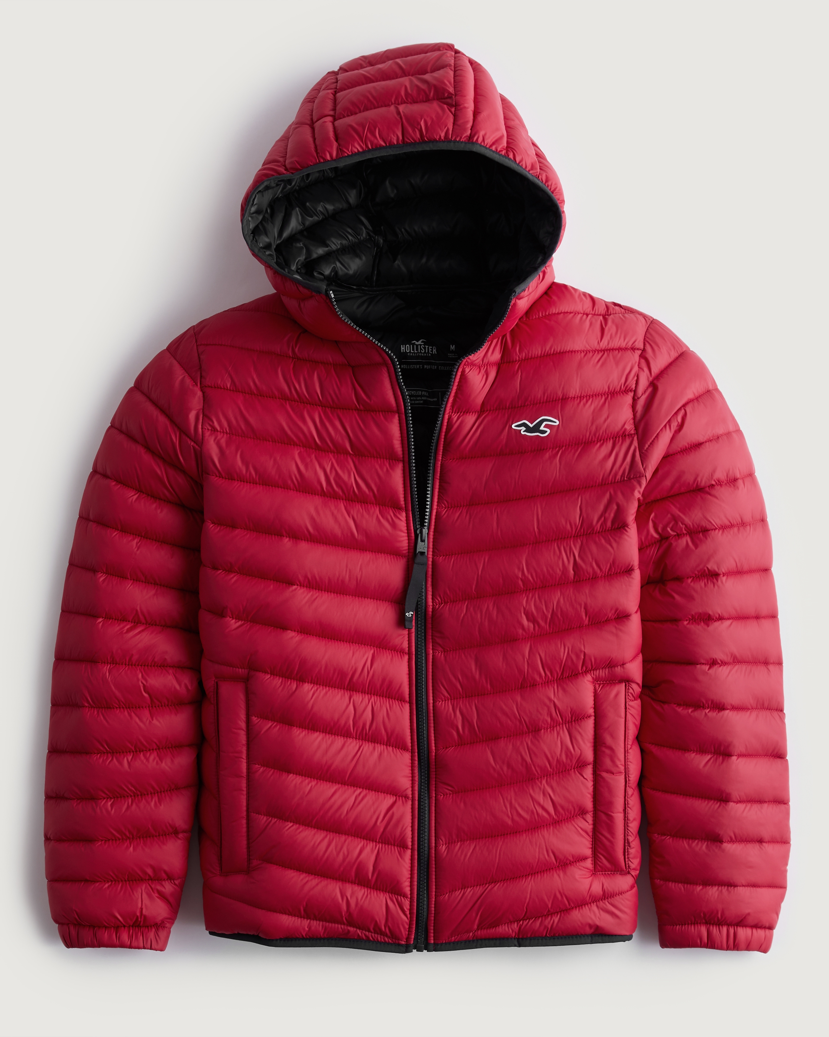 hollister mens jackets