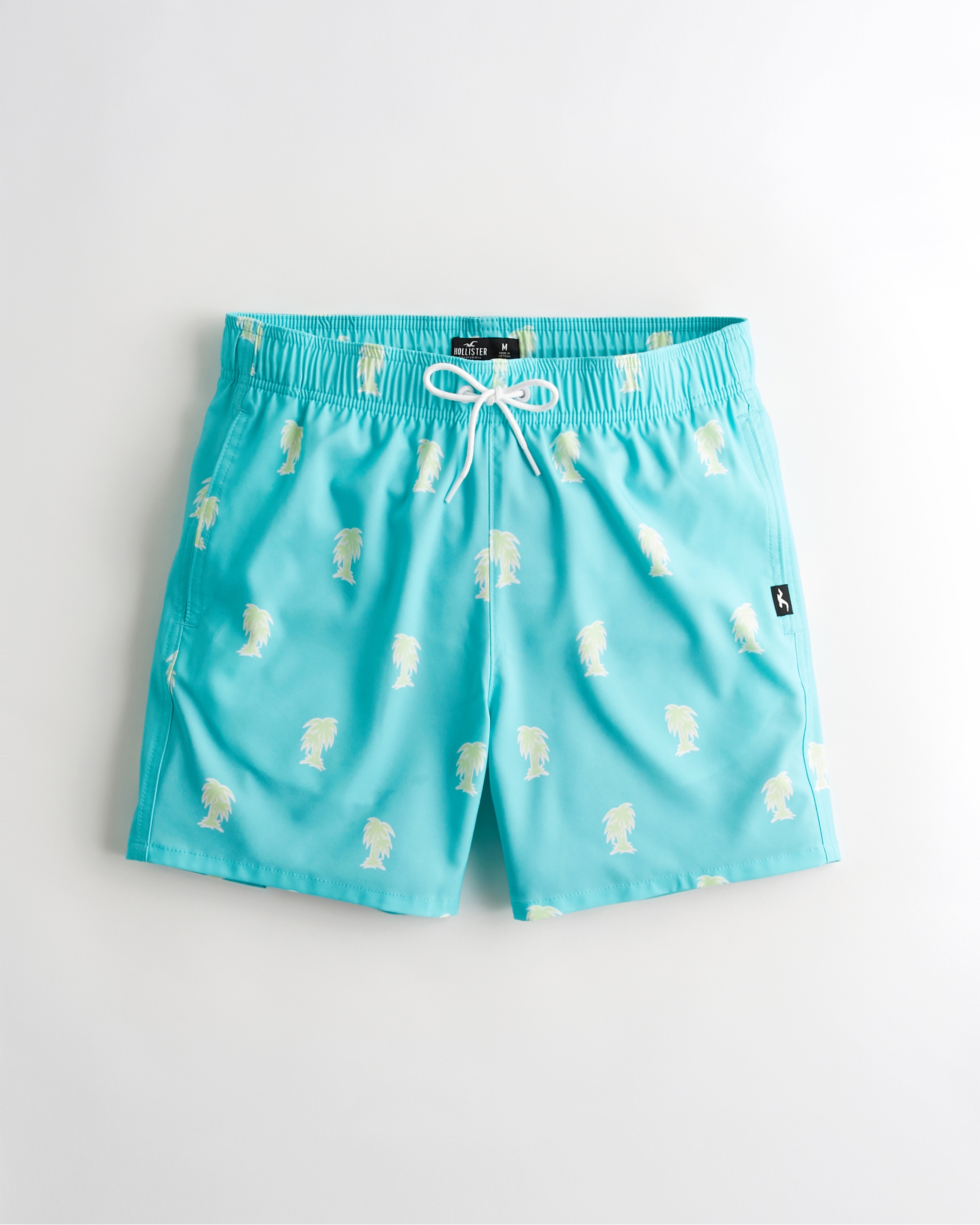 hollister swim trunks