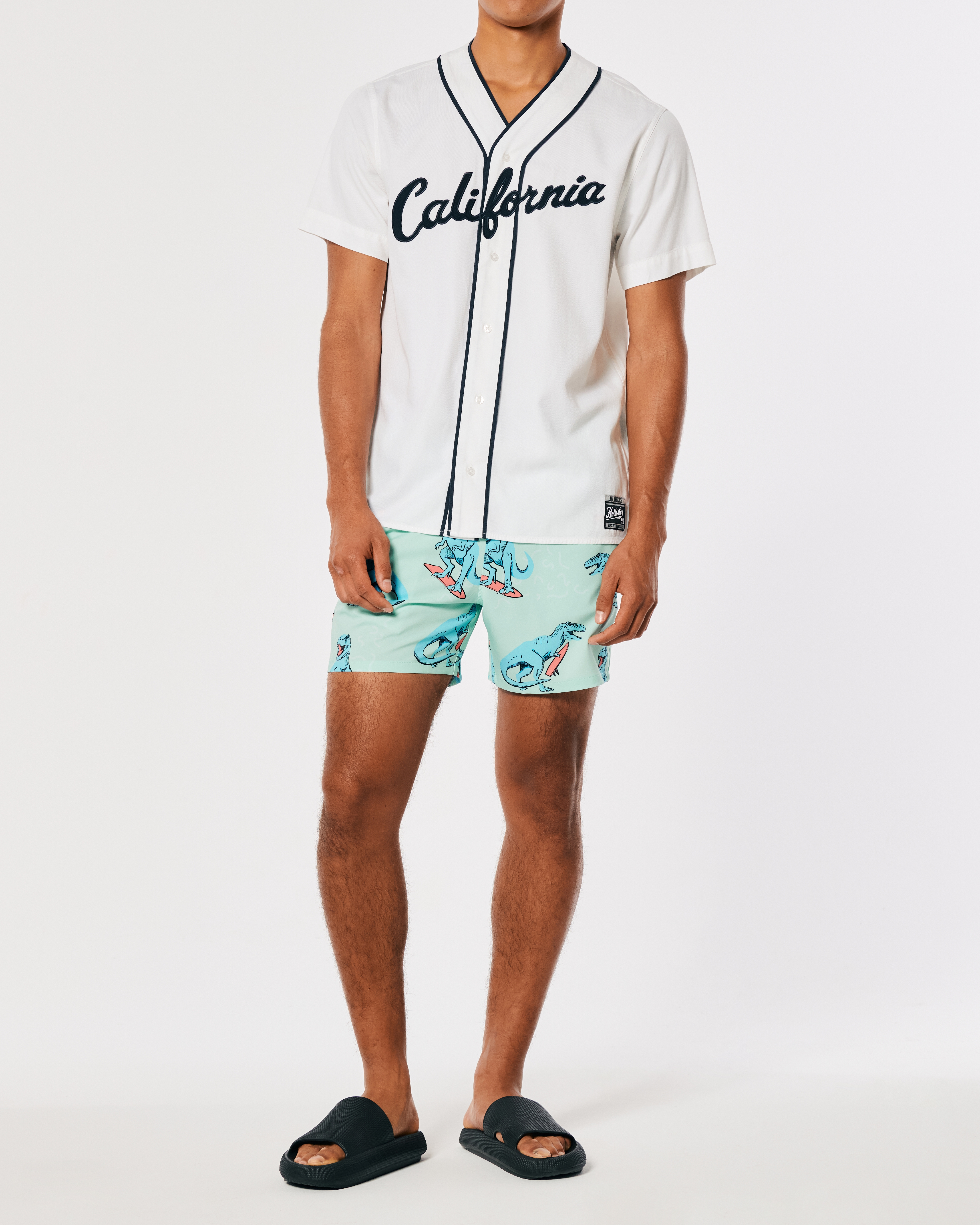 hollister swimming trunks