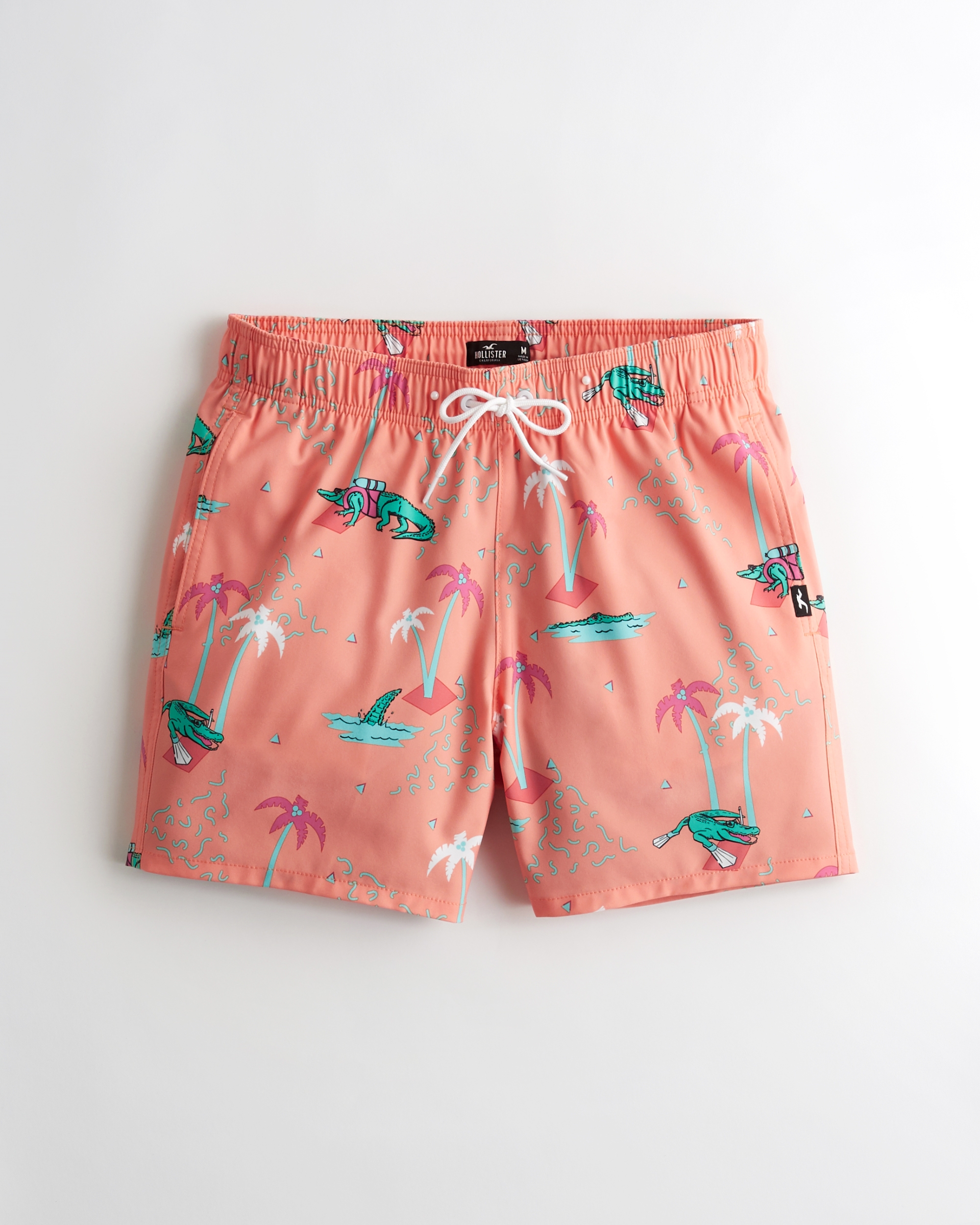 hollister swimming trunks