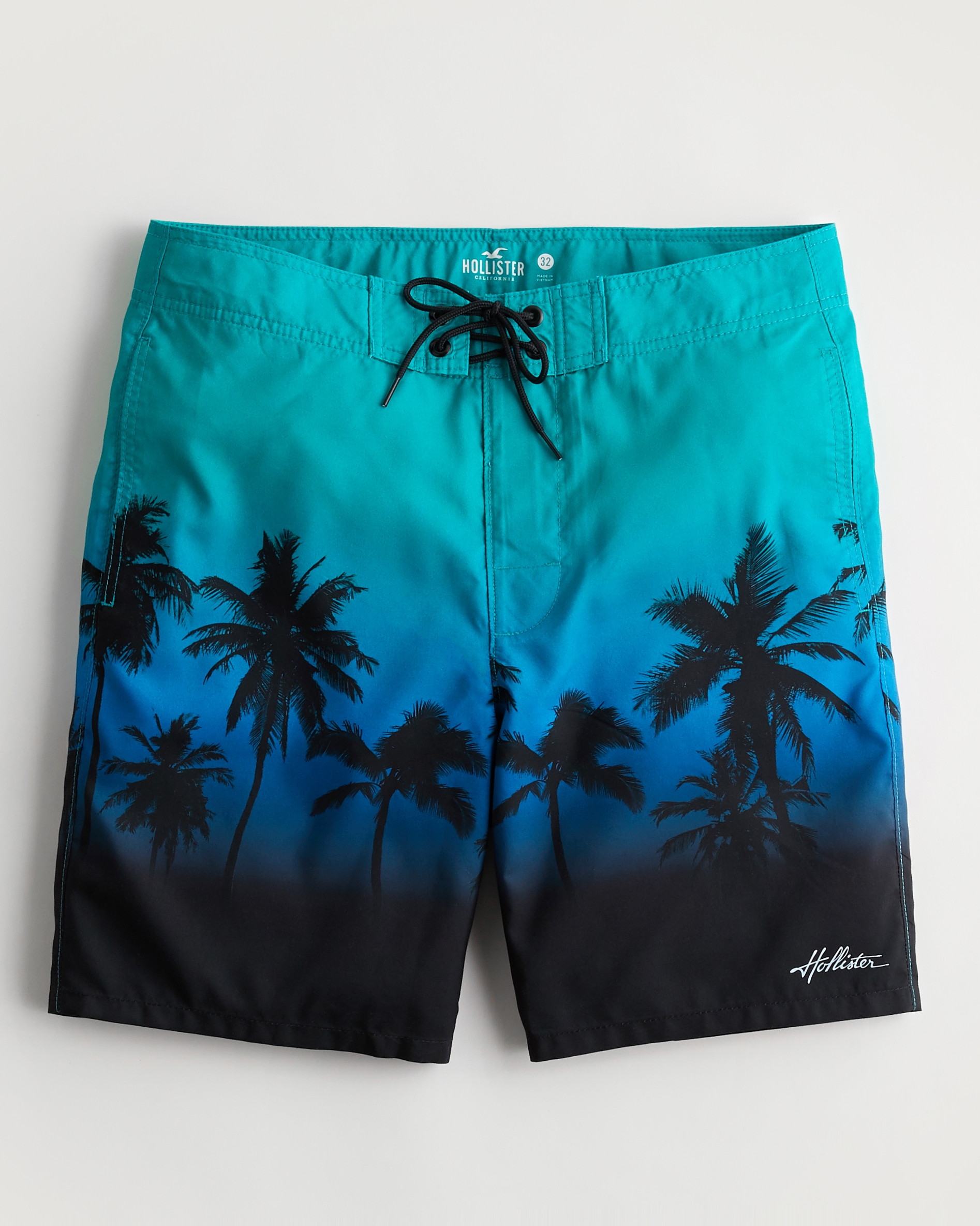 hollister swimming trunks