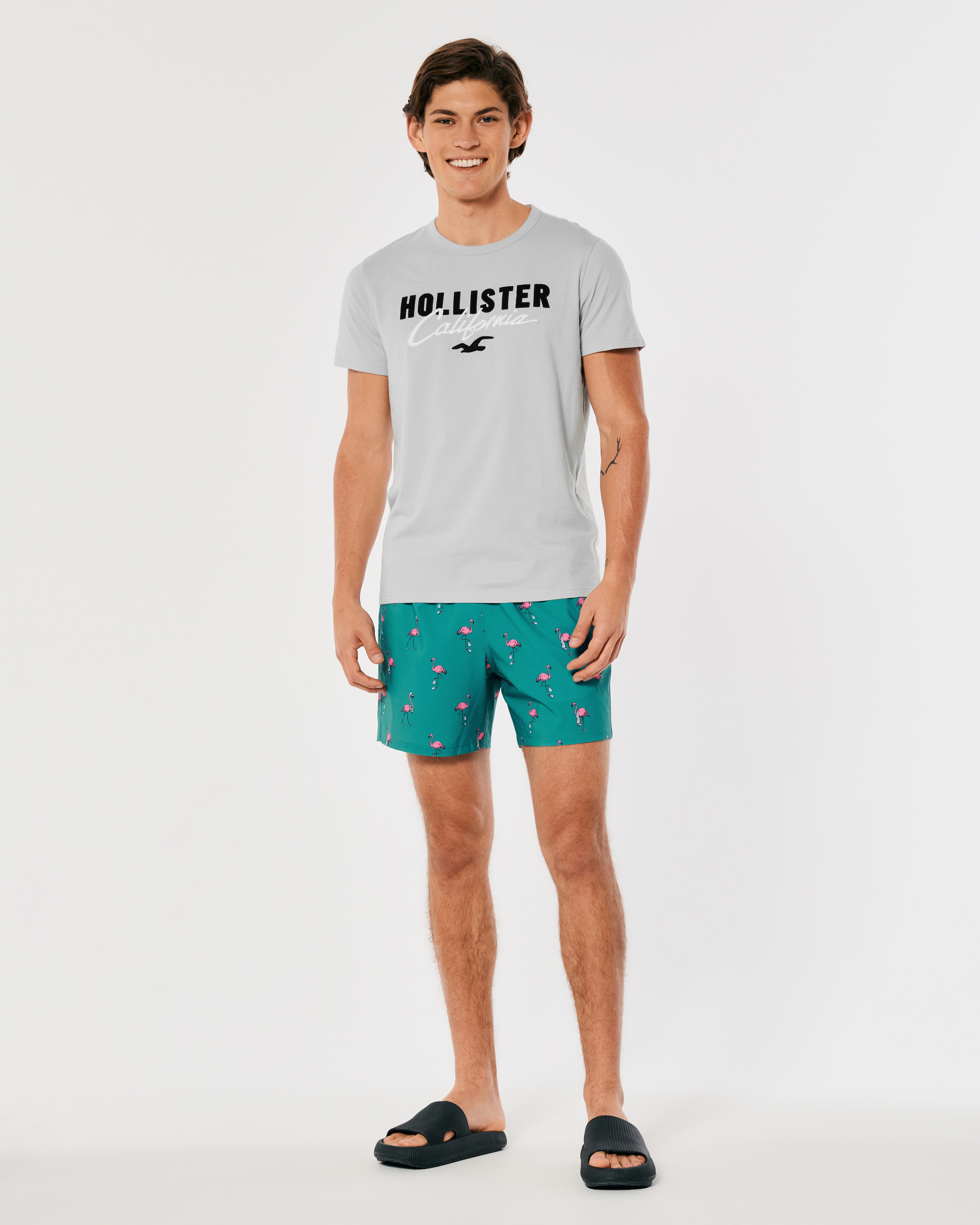 hollister men short
