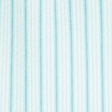 turquoise stripe