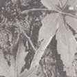 camuflaje marrón claro