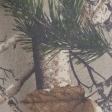 light brown camo
