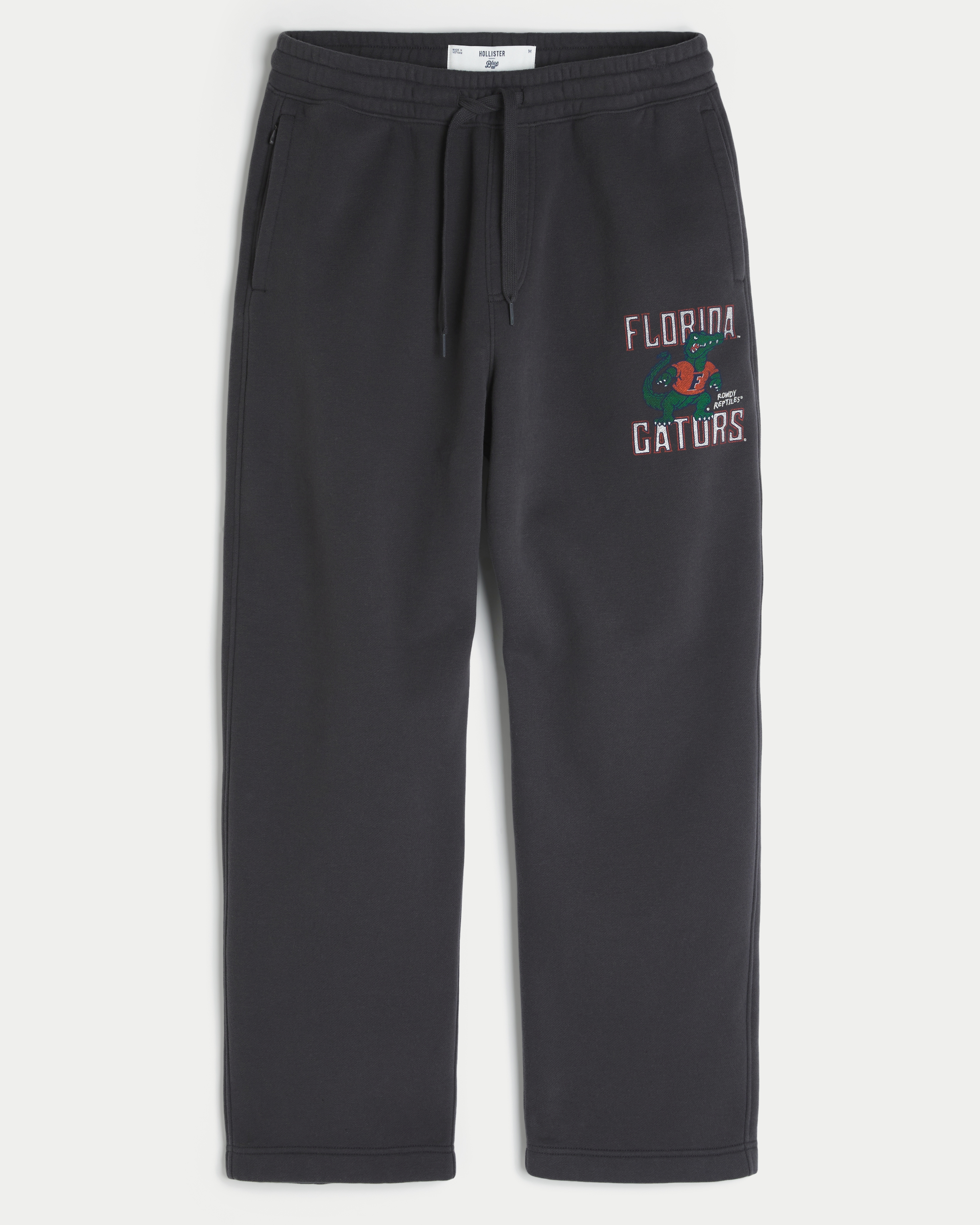 Мужские брюки Hollister Baggy University of Southern California Trojans Graphic Sweatpants