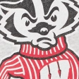 University of Wisconsin Graphic Baggy Sweatpants