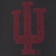 University of Wisconsin Graphic Baggy Sweatpants