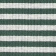 evergreen stripe