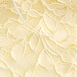 All-Over Lace Cami