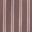 brown stripe
