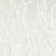 cloud white
