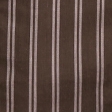 light brown stripe
